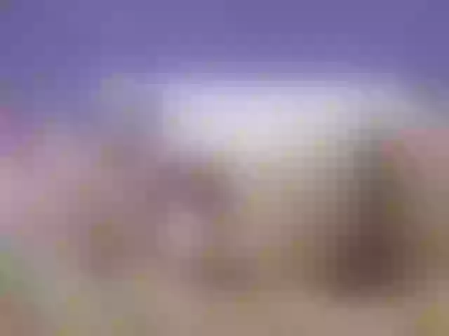 Live sex webcam photo for CARLANDJACKSO #276011032