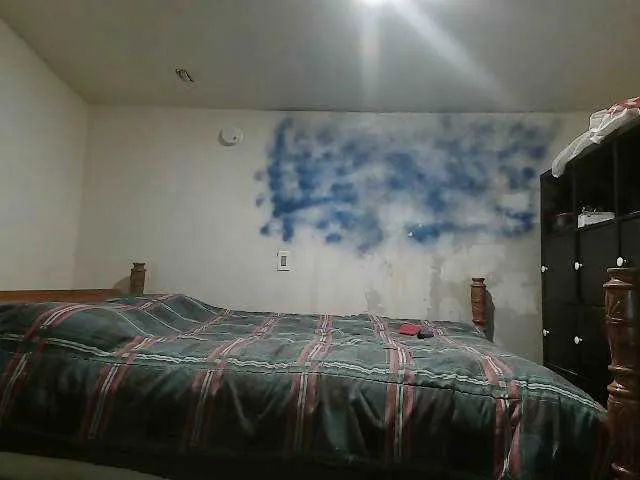 Live sex webcam photo for CCandMikeT #275616577