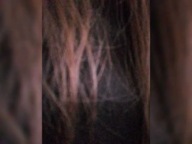 Live sex webcam photo for CNPEHA #273610072