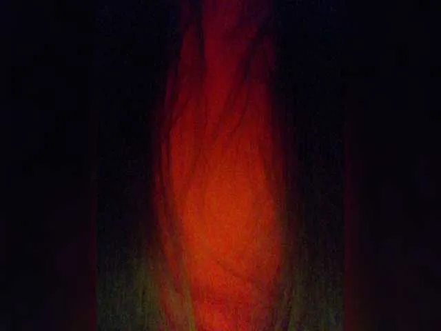 Live sex webcam photo for CNPEHA #274283654