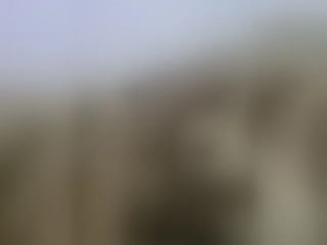 Live sex webcam photo for CamX1 #293080629