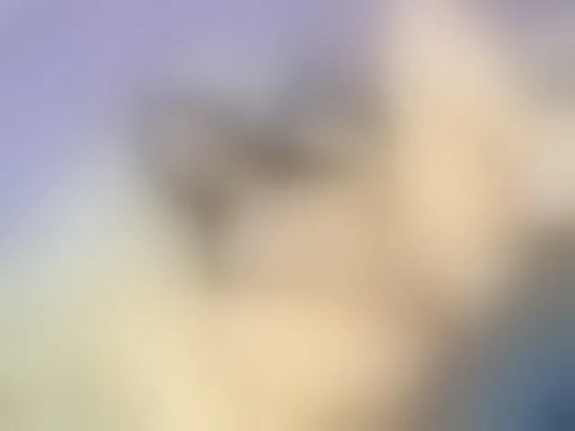 Live sex webcam photo for Camila-parkers #291198818
