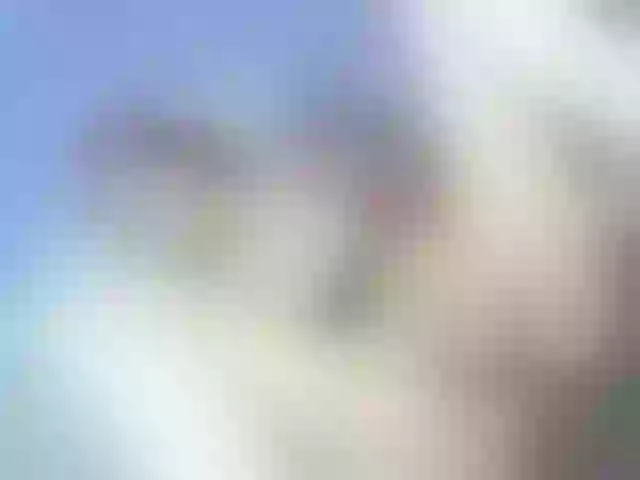 Live sex webcam photo for Camila-parkers #291259797
