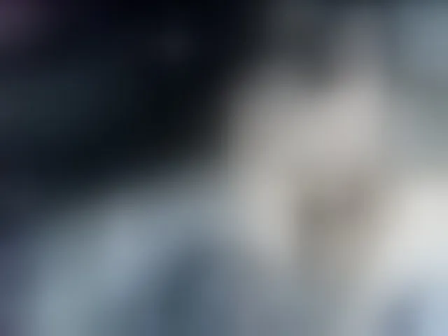 Live sex webcam photo for Camila05torres #291795971