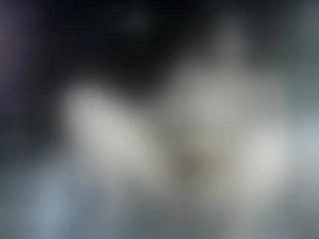 Live sex webcam photo for Camila05torres #291843514
