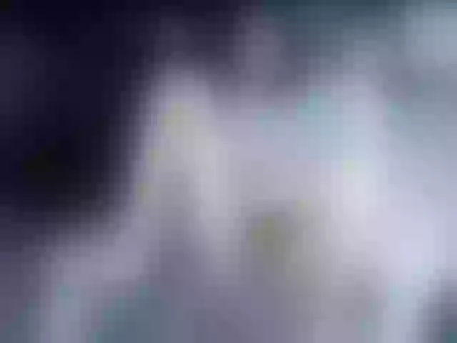 Live sex webcam photo for Camila05torres #291877500