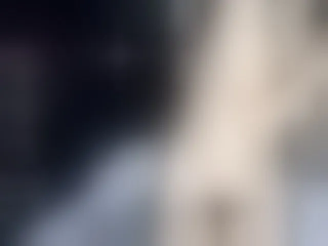 Live sex webcam photo for Camila05torres #292219181