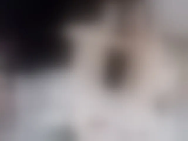 Live sex webcam photo for Camila05torres #293704628