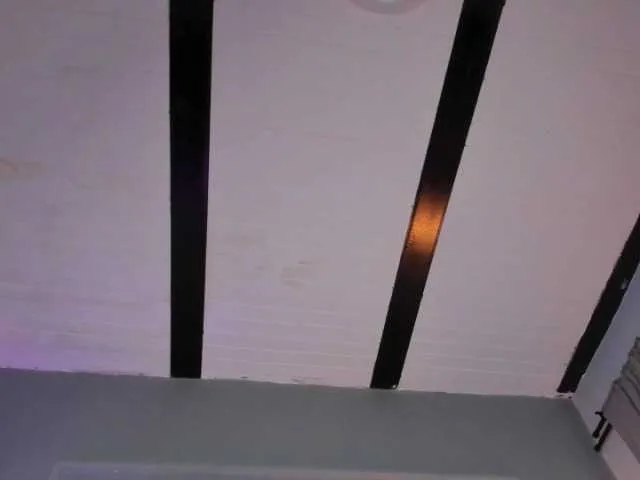 Live sex webcam photo for Candaceowens #291305043