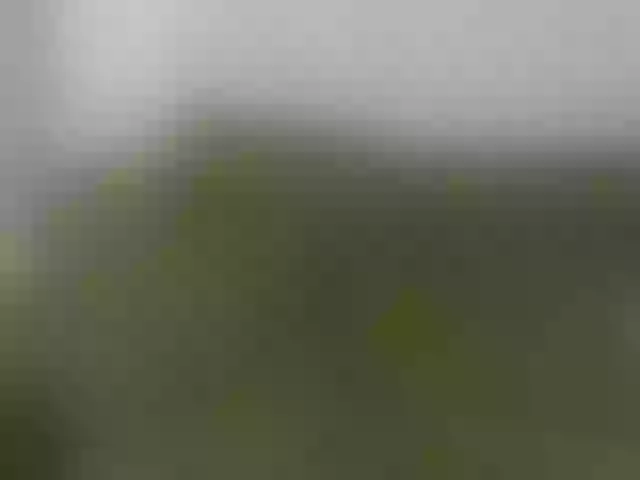 Live sex webcam photo for Candaceowens #292006230