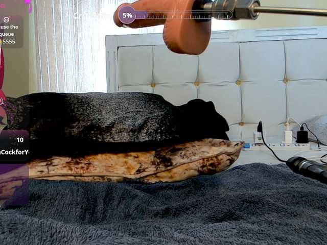 Live sex webcam photo for Candbody #291782116