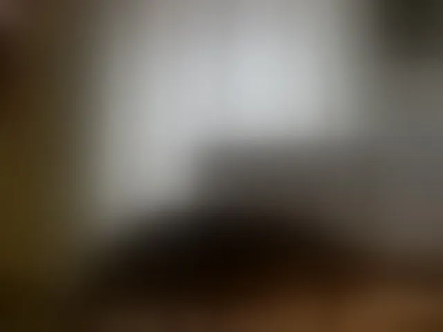 Live sex webcam photo for Candbody #292898927