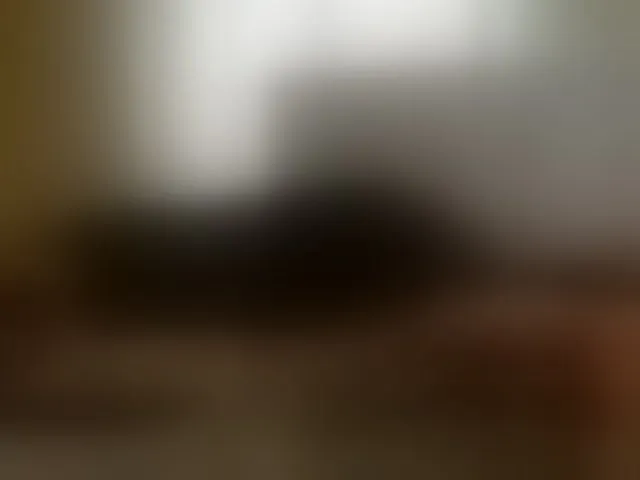 Live sex webcam photo for Candbody #293067941