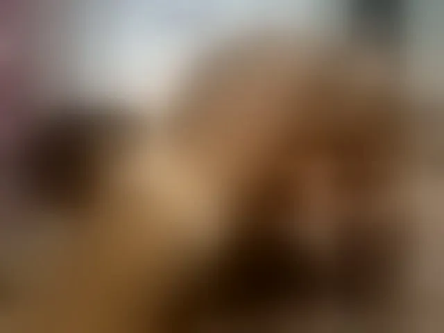 Live sex webcam photo for Candbody #293176146