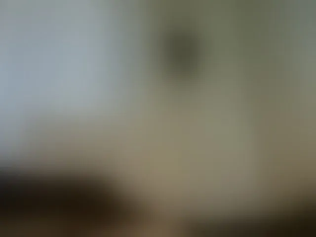 Live sex webcam photo for Candbody #293258379