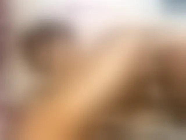 Live sex webcam photo for Candbody #293825342