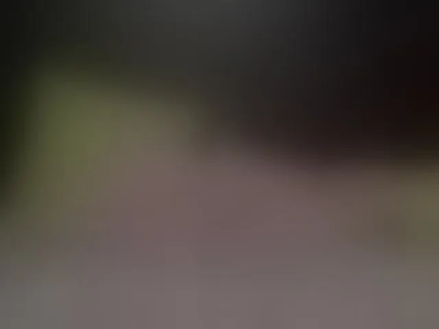 Live sex webcam photo for CandiceVIP #293327444