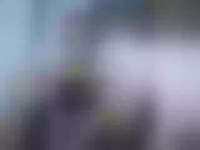 Live sex webcam photo for Candis69 #291864416
