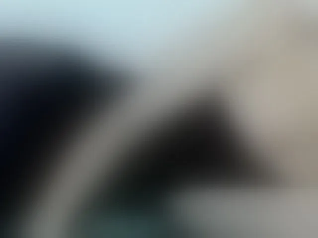 Live sex webcam photo for CandyLand #276813574