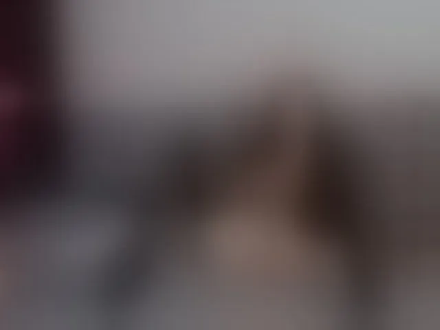 Live sex webcam photo for CandyLush #276351513