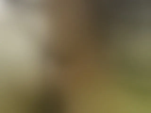 Live sex webcam photo for CandyYhoney29 #292320602
