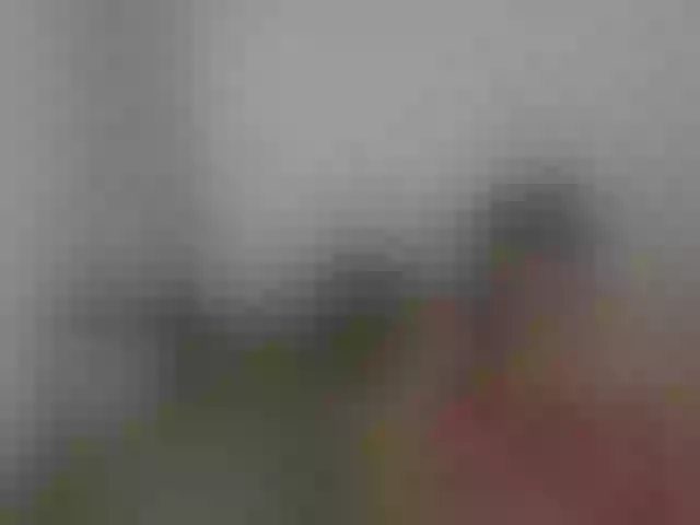 Live sex webcam photo for CandyandJhon #290826661