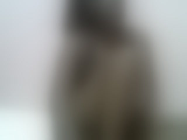 Live sex webcam photo for Candylily1 #294028408