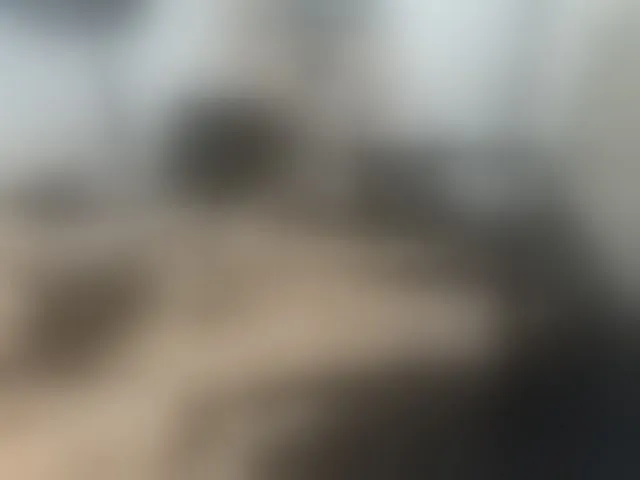 Live sex webcam photo for Canelasquirtxxx #293777364