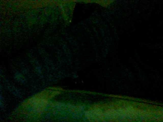 Live sex webcam photo for Cantero14 #276772764