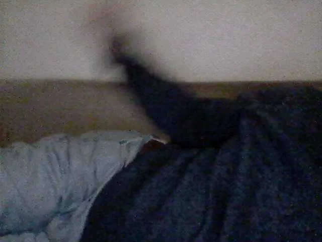 Live sex webcam photo for Cantero14 #292266491