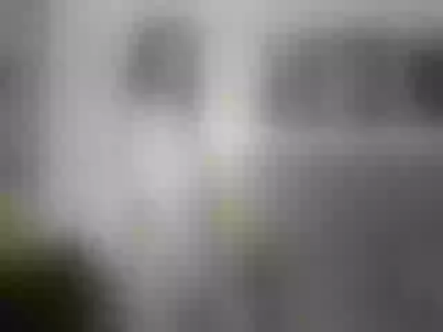 Live sex webcam photo for Caralella #291619523