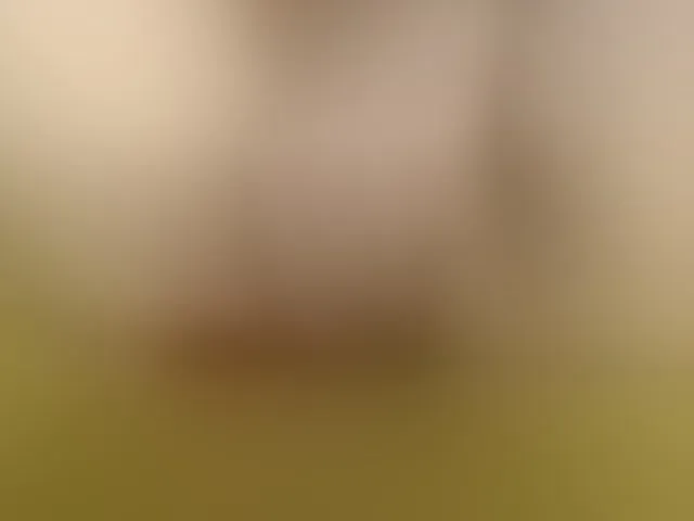 Live sex webcam photo for CarluyMessy #292750887