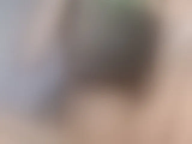 Live sex webcam photo for CarluyMessy #293028138