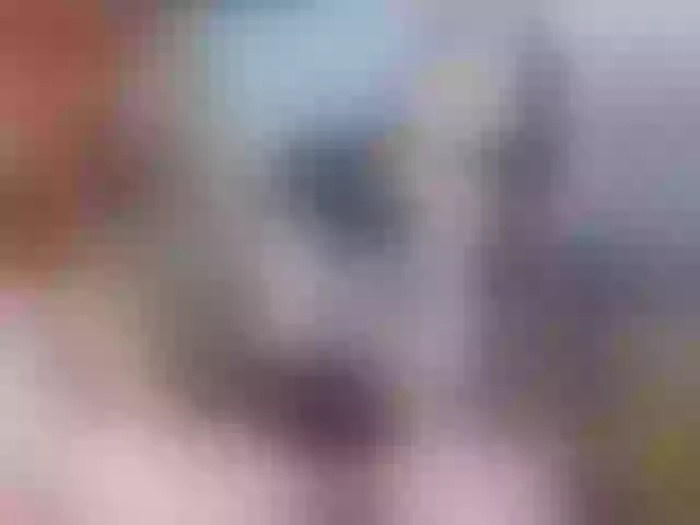 Live sex webcam photo for Caroline1995 #290930381