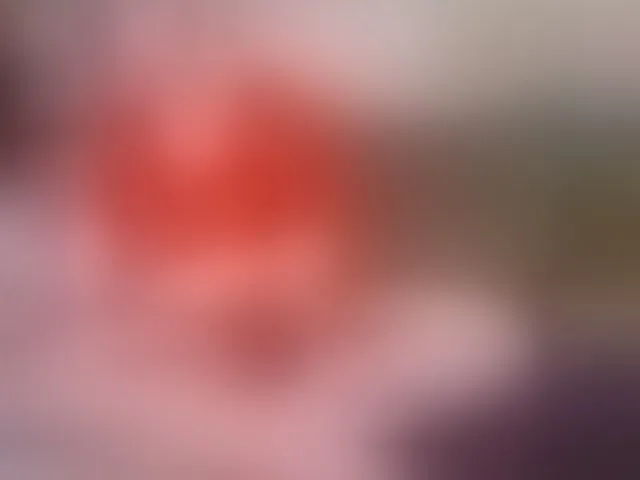 Live sex webcam photo for Caroline1995 #292475683