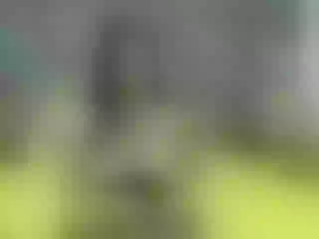 Live sex webcam photo for CarolineTorre #272453832