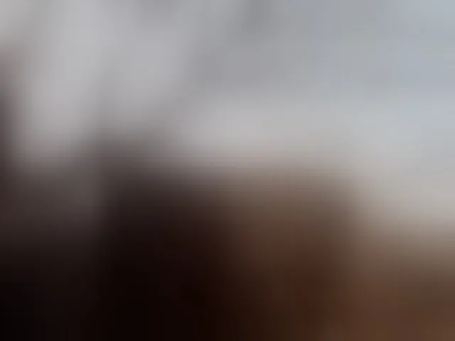 Live sex webcam photo for Carrielove #293992199