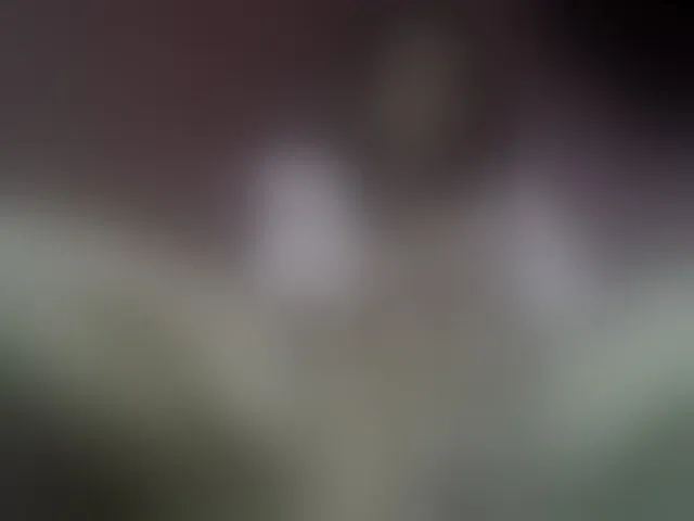 Live sex webcam photo for Carrollina #292542358