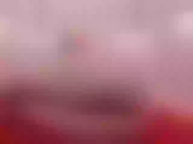 Live sex webcam photo for CaseyHudson #272506625