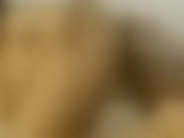 Live sex webcam photo for CaseyMoons #293606949