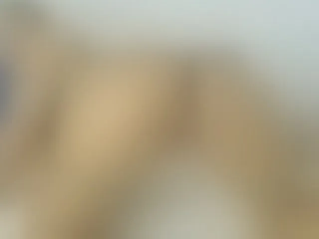 Live sex webcam photo for CaseyMoons #293664313