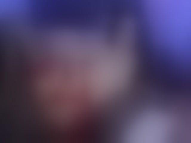 Live sex webcam photo for CassieEvans #293685049