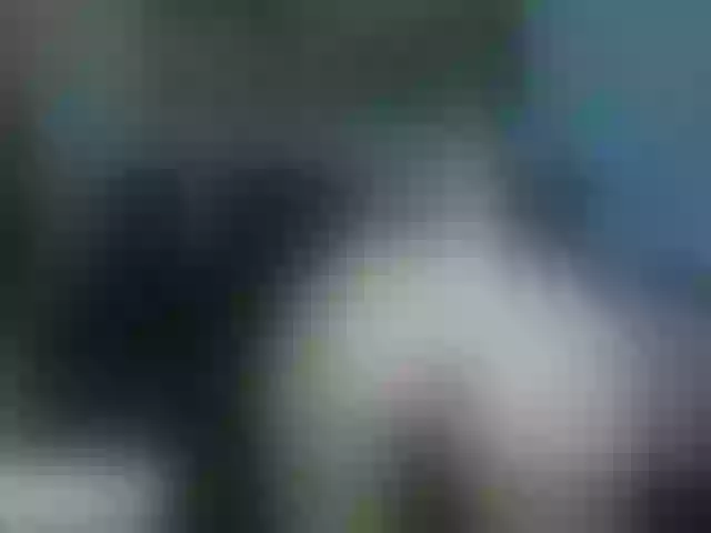 Live sex webcam photo for Cataleya80 #290784210