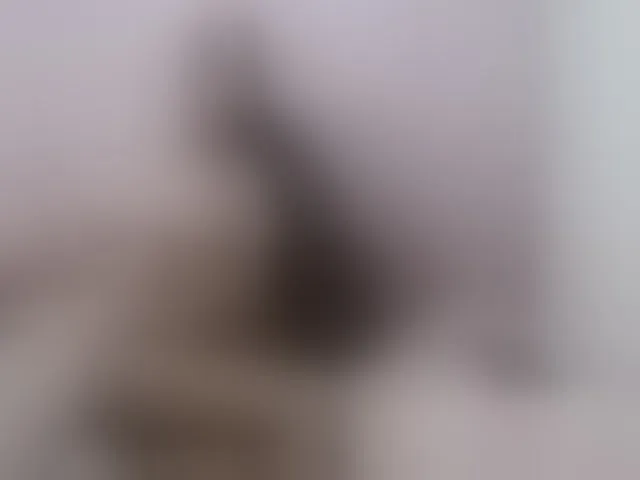 Live sex webcam photo for Catalina-Rose #291273879