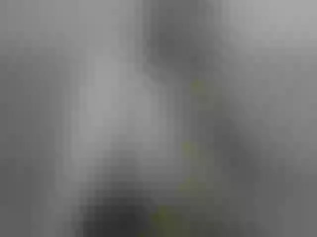 Live sex webcam photo for CatinMilkland #290302423
