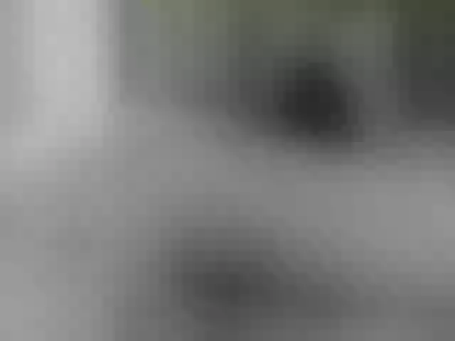 Live sex webcam photo for CatinMilkland #290352700
