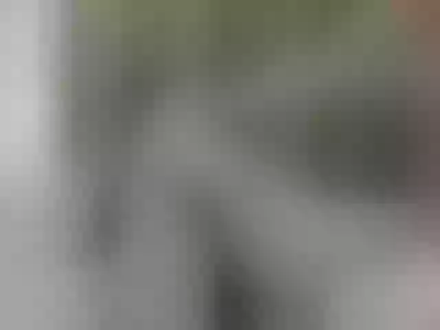 Live sex webcam photo for CatinMilkland #290392464