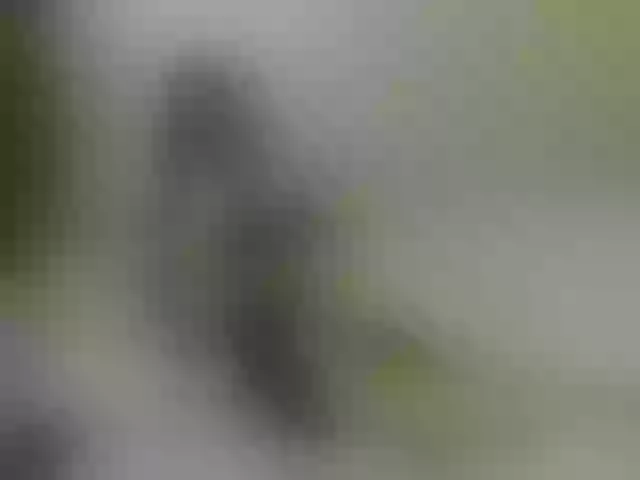 Live sex webcam photo for CatinMilkland #291455323