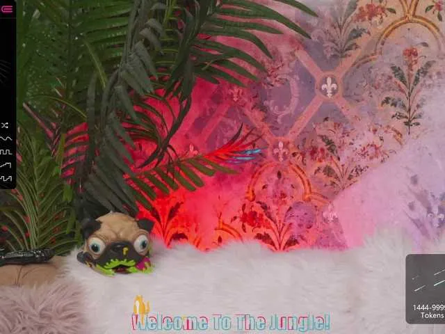 Live sex webcam photo for cattitude #273031665