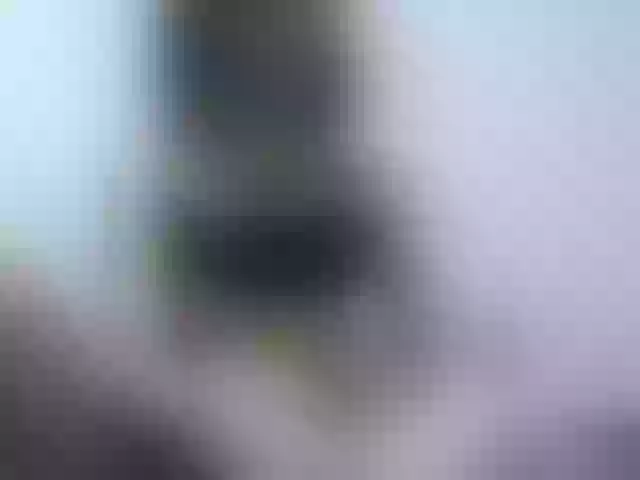 Live sex webcam photo for Celena980 #290012177